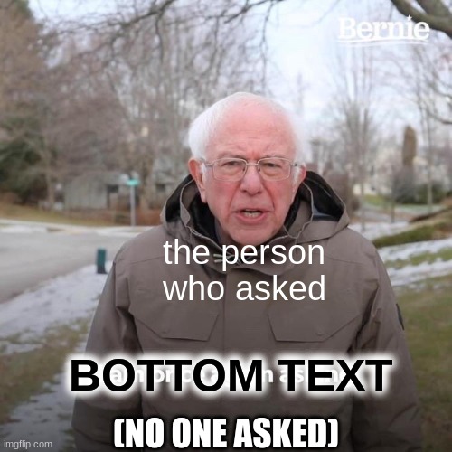 Bernie I Am Once Again Asking For Your Support | the person who asked; BOTTOM TEXT; (NO ONE ASKED) | image tagged in memes,bernie i am once again asking for your support | made w/ Imgflip meme maker