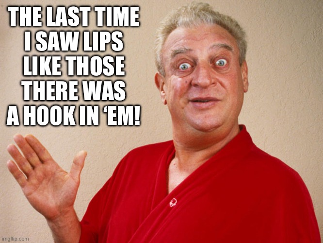 Rodney Dangerfield For Pres | THE LAST TIME
I SAW LIPS
LIKE THOSE
THERE WAS
A HOOK IN ‘EM! | image tagged in rodney dangerfield for pres | made w/ Imgflip meme maker