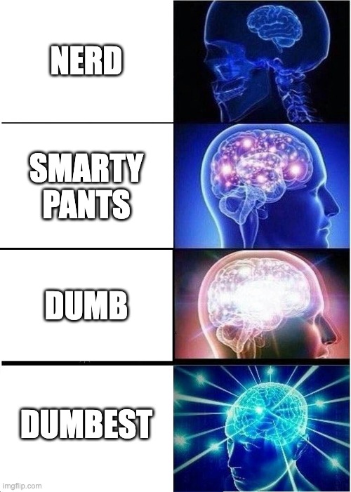 Expanding Brain | NERD; SMARTY PANTS; DUMB; DUMBEST | image tagged in memes,expanding brain | made w/ Imgflip meme maker