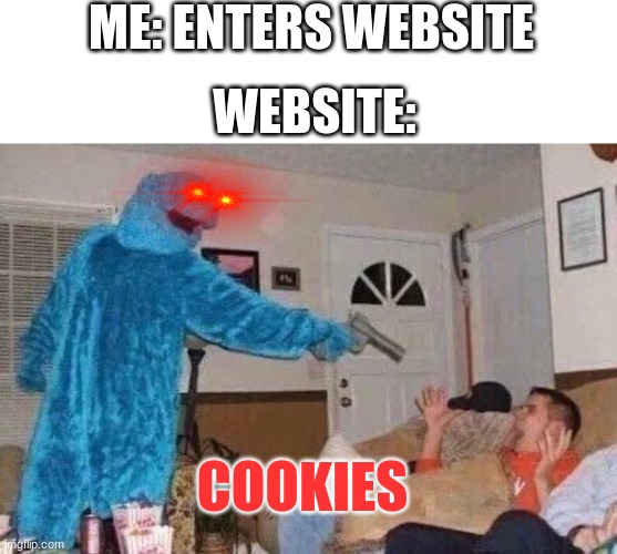 Accept Cookies | ME: ENTERS WEBSITE; WEBSITE:; COOKIES | image tagged in cookies | made w/ Imgflip meme maker