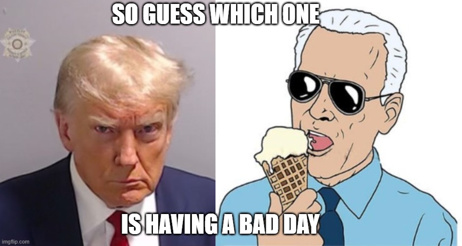 SO GUESS WHICH ONE; IS HAVING A BAD DAY | image tagged in donald trump mugshot | made w/ Imgflip meme maker