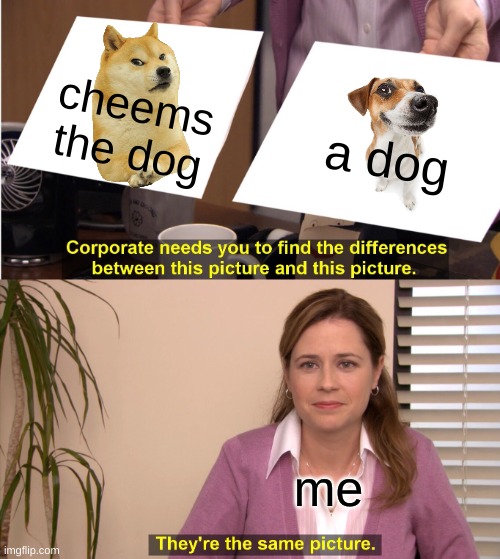 cheems is just a dog? :O | cheems the dog; a dog; me | image tagged in memes,they're the same picture | made w/ Imgflip meme maker