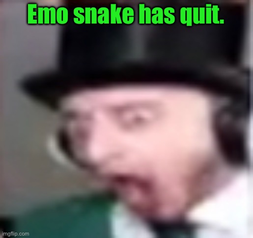 suprised | Emo snake has quit. | image tagged in suprised | made w/ Imgflip meme maker