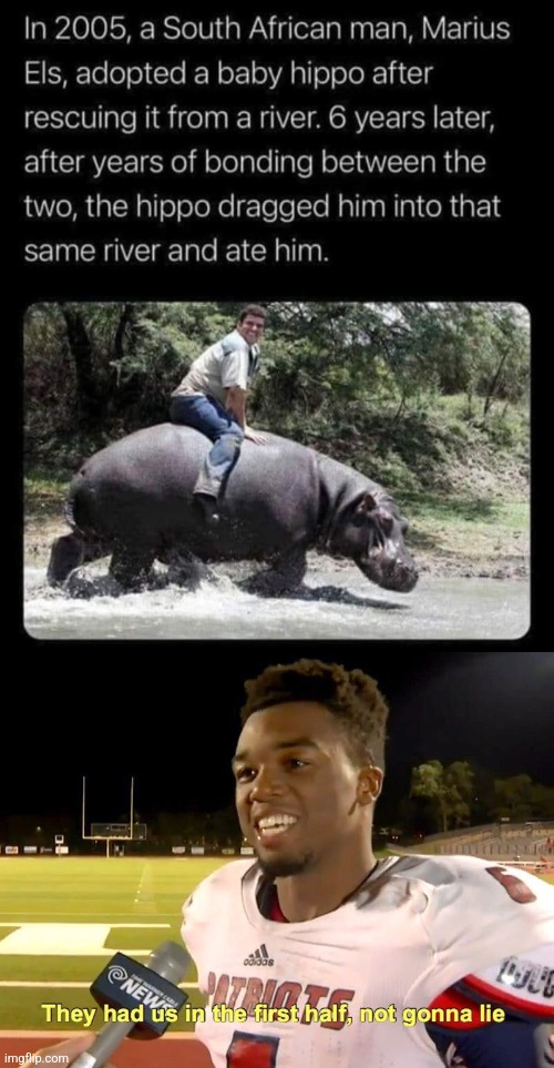 Don't feed the Hippos | image tagged in they had us in the first half,hippo,eating,man,friend,peta | made w/ Imgflip meme maker