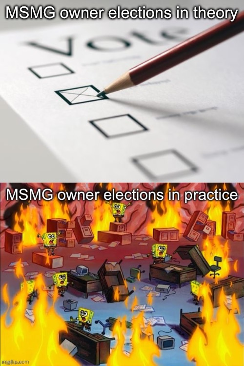 People will vote for someone horrible as a joke and they will win | MSMG owner elections in theory | image tagged in voting ballot | made w/ Imgflip meme maker