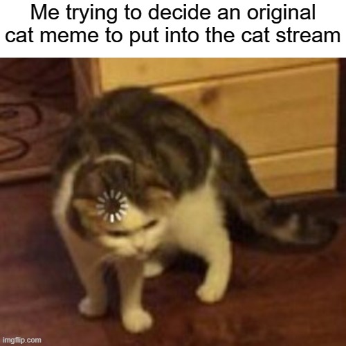 Still Thinking... | Me trying to decide an original cat meme to put into the cat stream | image tagged in loading cat,cats,original meme | made w/ Imgflip meme maker