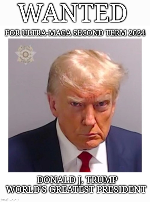 Two Terms MFers! Deal With It | WANTED; FOR ULTRA-MAGA SECOND TERM 2024; DONALD J. TRUMP WORLD'S GREATEST PRESIDENT | image tagged in democrat,government corruption,finished,vote,president trump | made w/ Imgflip meme maker