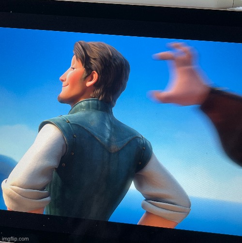 I made a new meme template by pausing Tangled | image tagged in flynn rider gets grabbed,meme template | made w/ Imgflip meme maker
