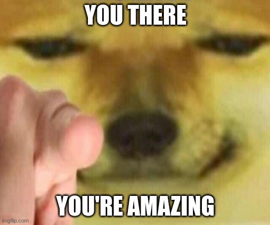 true. | YOU THERE; YOU'RE AMAZING | image tagged in cheems pointing at you | made w/ Imgflip meme maker