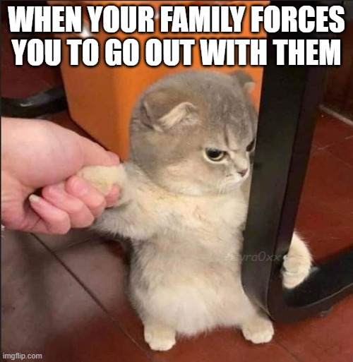 Ain't it sad | WHEN YOUR FAMILY FORCES
YOU TO GO OUT WITH THEM; @zyra0xx | image tagged in mad kitty | made w/ Imgflip meme maker