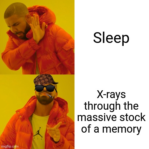 -What else to do? | Sleep; X-rays through the massive stock of a memory | image tagged in memes,drake hotline bling,brain before sleep,xray,i'll take your entire stock,a core memory | made w/ Imgflip meme maker