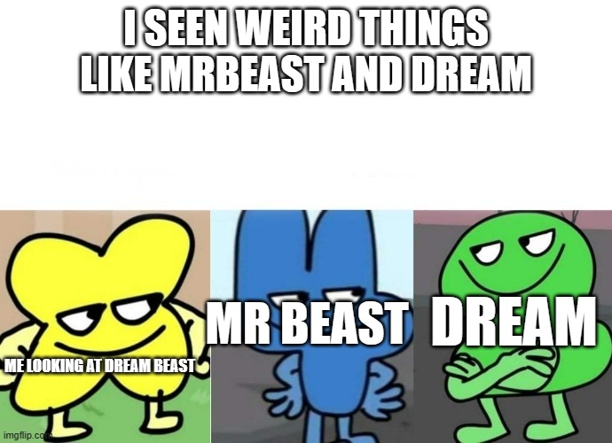 BFB Smug | I SEEN WEIRD THINGS LIKE MRBEAST AND DREAM; ME LOOKING AT DREAM BEAST; DREAM; MR BEAST | image tagged in bfb smug | made w/ Imgflip meme maker
