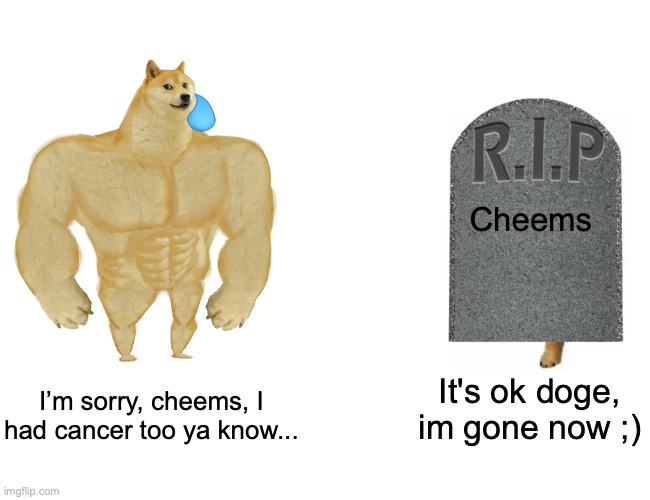 Cheems chain in comments | Cheems; I’m sorry, cheems, I had cancer too ya know... It's ok doge, im gone now ;) | image tagged in memes,buff doge vs cheems | made w/ Imgflip meme maker