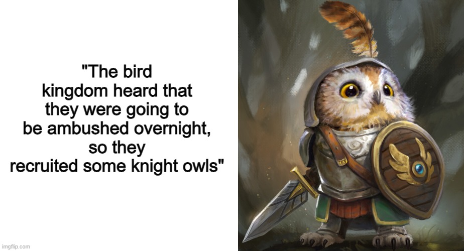 Haha... ig... | "The bird kingdom heard that they were going to be ambushed overnight, so they recruited some knight owls" | image tagged in blank white template | made w/ Imgflip meme maker