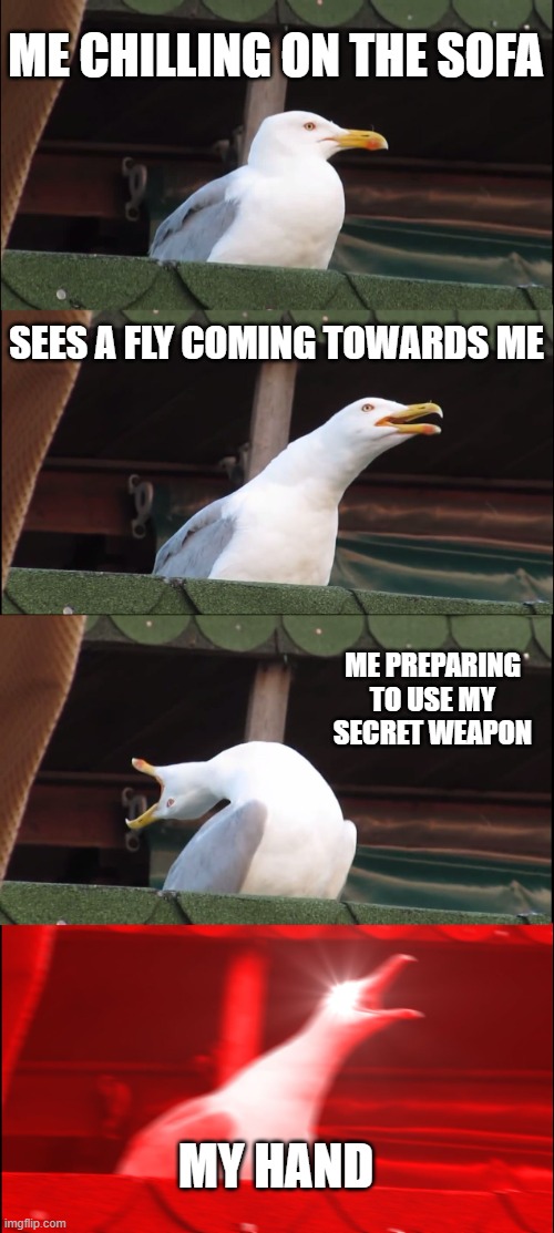 Inhaling Seagull | ME CHILLING ON THE SOFA; SEES A FLY COMING TOWARDS ME; ME PREPARING TO USE MY SECRET WEAPON; MY HAND | image tagged in memes,inhaling seagull,funny memes | made w/ Imgflip meme maker