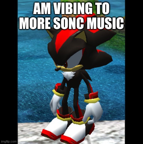 IT HAS COME TO THIS IT HAS COME TO THIS NO OTHER WAY | AM VIBING TO MORE SONC MUSIC | image tagged in shadow standing | made w/ Imgflip meme maker