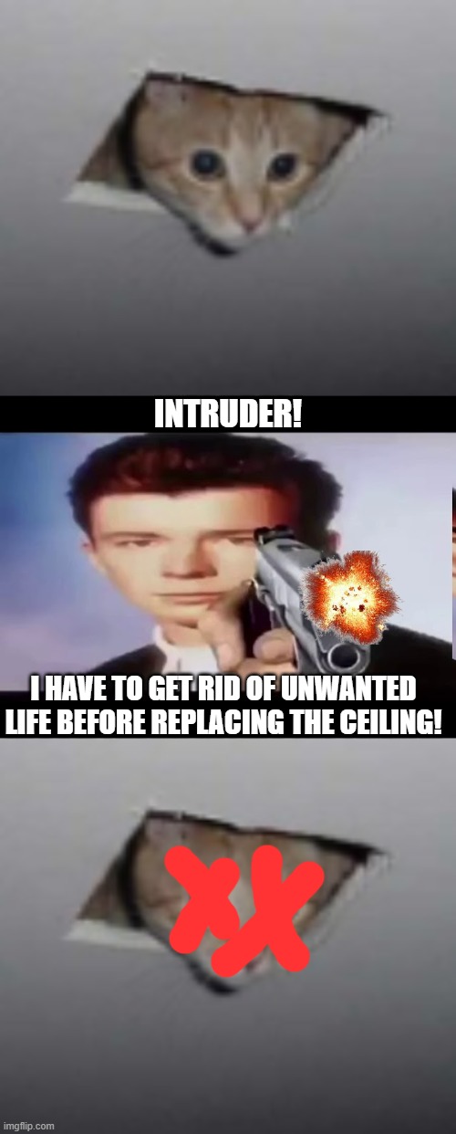 INTRUDER! I HAVE TO GET RID OF UNWANTED LIFE BEFORE REPLACING THE CEILING! | image tagged in rick with gun | made w/ Imgflip meme maker