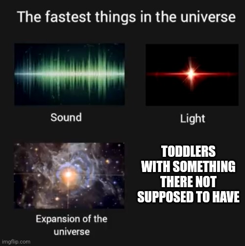 Fastest things in the universe | TODDLERS WITH SOMETHING THERE NOT SUPPOSED TO HAVE | image tagged in fastest things in the universe | made w/ Imgflip meme maker