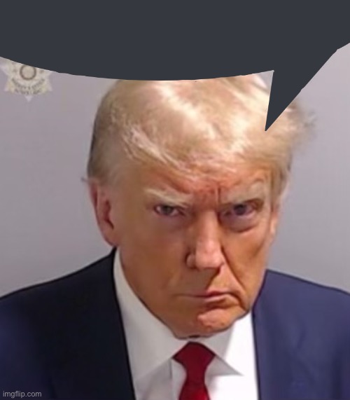 Donald Trump Mugshot | image tagged in donald trump mugshot | made w/ Imgflip meme maker