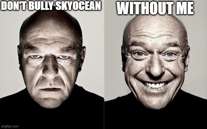 switched dean norris reaction | DON'T BULLY SKYOCEAN WITHOUT ME | image tagged in switched dean norris reaction | made w/ Imgflip meme maker