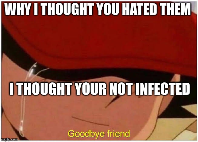 Ash says goodbye friend | WHY I THOUGHT YOU HATED THEM I THOUGHT YOUR NOT INFECTED | image tagged in ash says goodbye friend | made w/ Imgflip meme maker