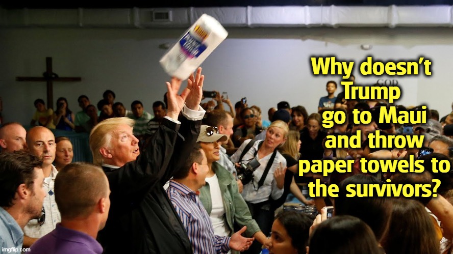 Why doesn't 
Trump 
go to Maui and throw paper towels to the survivors? | image tagged in maui,wildfires,homeless,trump,paper towels | made w/ Imgflip meme maker