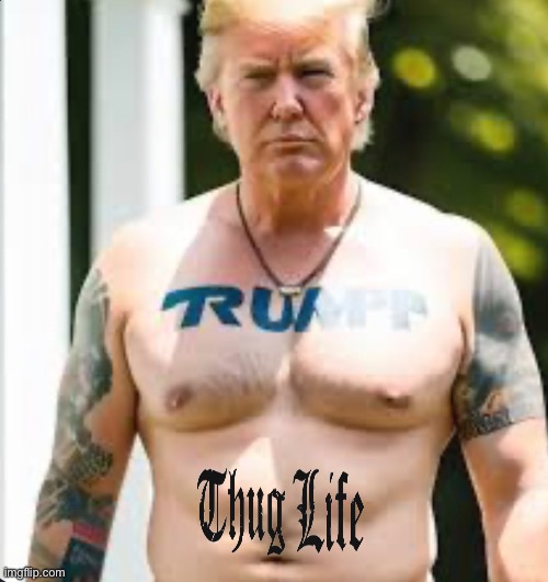 Trump…true O.G. | image tagged in trump,gangsta,fjb,lets go,brandon,thug life | made w/ Imgflip meme maker