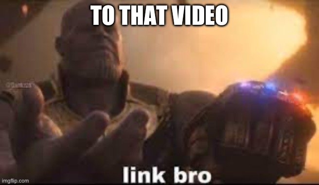 link bro | TO THAT VIDEO | image tagged in link bro | made w/ Imgflip meme maker