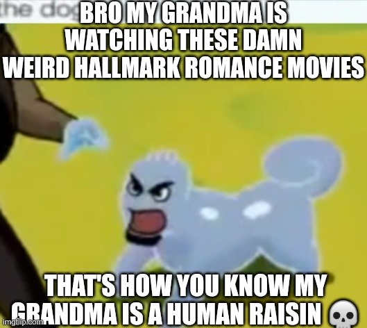 Hallmark sucks | BRO MY GRANDMA IS WATCHING THESE DAMN WEIRD HALLMARK ROMANCE MOVIES; THAT'S HOW YOU KNOW MY GRANDMA IS A HUMAN RAISIN 💀 | made w/ Imgflip meme maker
