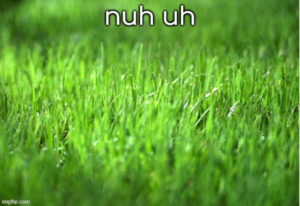 grass is greener | nuh uh | image tagged in grass is greener | made w/ Imgflip meme maker