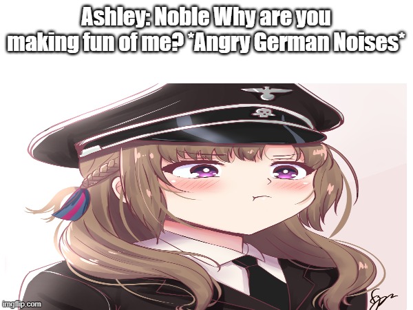 lost pause ashley | Ashley: Noble Why are you making fun of me? *Angry German Noises* | image tagged in funny | made w/ Imgflip meme maker