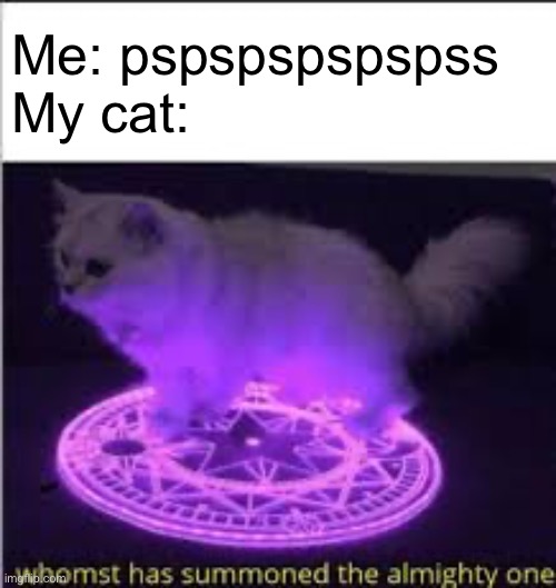 Lol | Me: pspspspspspss
My cat: | image tagged in whomst has summoned the almighty one | made w/ Imgflip meme maker
