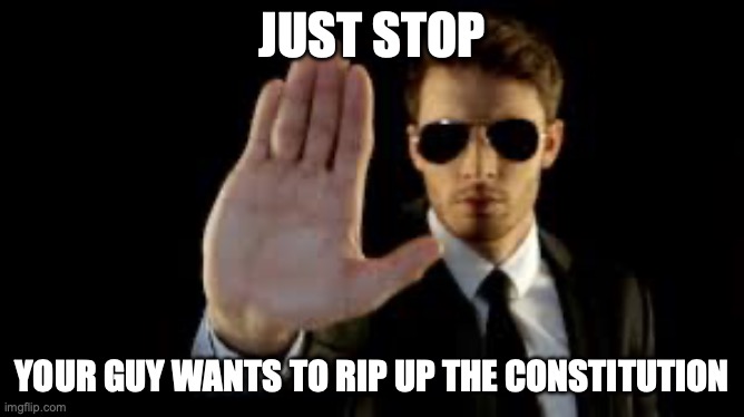 Bodyguard | JUST STOP YOUR GUY WANTS TO RIP UP THE CONSTITUTION | image tagged in bodyguard | made w/ Imgflip meme maker