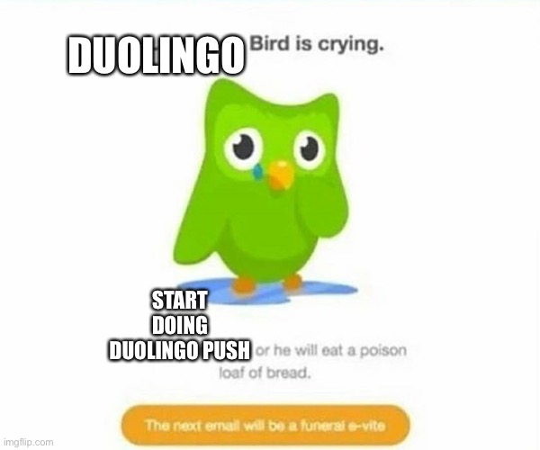 Duolingo bird | DUOLINGO; START DOING DUOLINGO PUSH | image tagged in duolingo bird | made w/ Imgflip meme maker