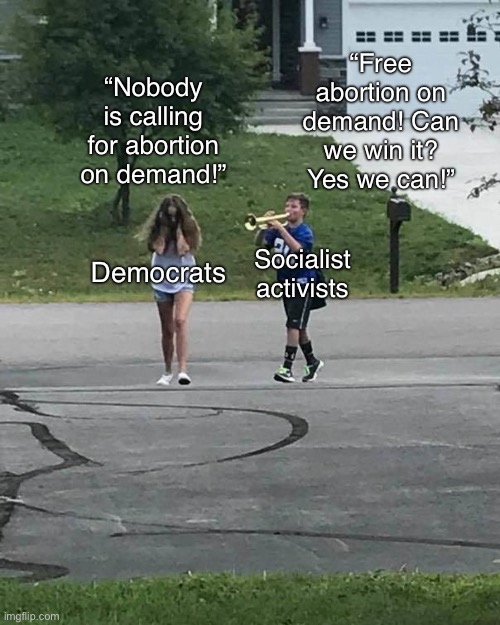 Liberals ignore socialist organizers who are doing all the heavy lifting | “Free abortion on demand! Can we win it? Yes we can!”; “Nobody is calling for abortion on demand!”; Democrats; Socialist activists | image tagged in trumpet boy,protests,abortion,liberals,liberal logic,socialists | made w/ Imgflip meme maker