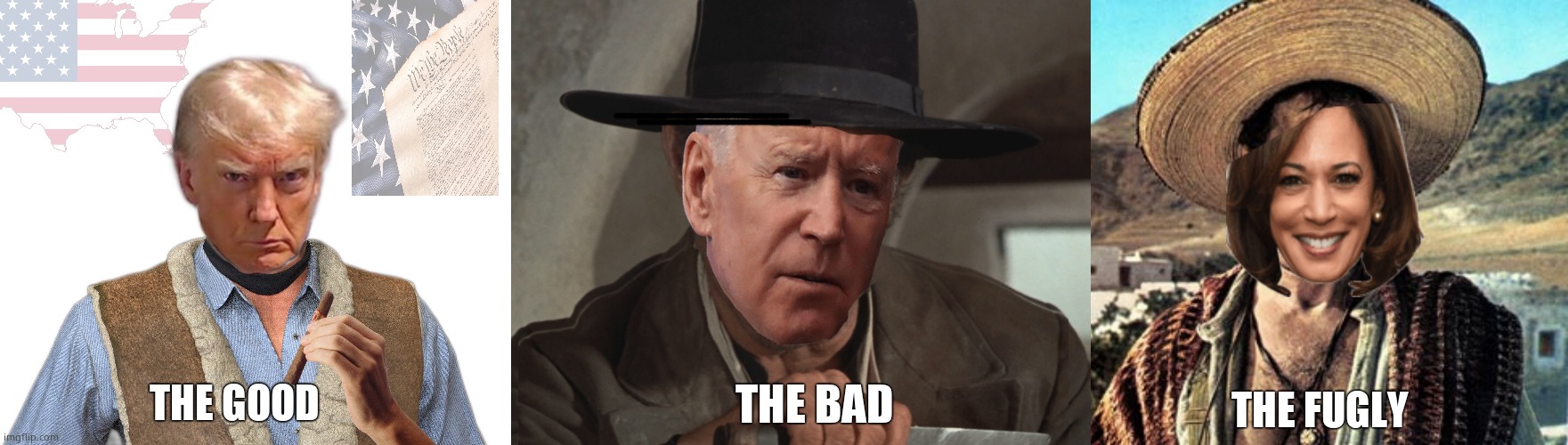 Strawberry 'Blondie' | THE FUGLY; THE BAD; THE GOOD | image tagged in memes,the good the bad and the ugly,donald trump,joe biden,kamala harris,political meme | made w/ Imgflip meme maker