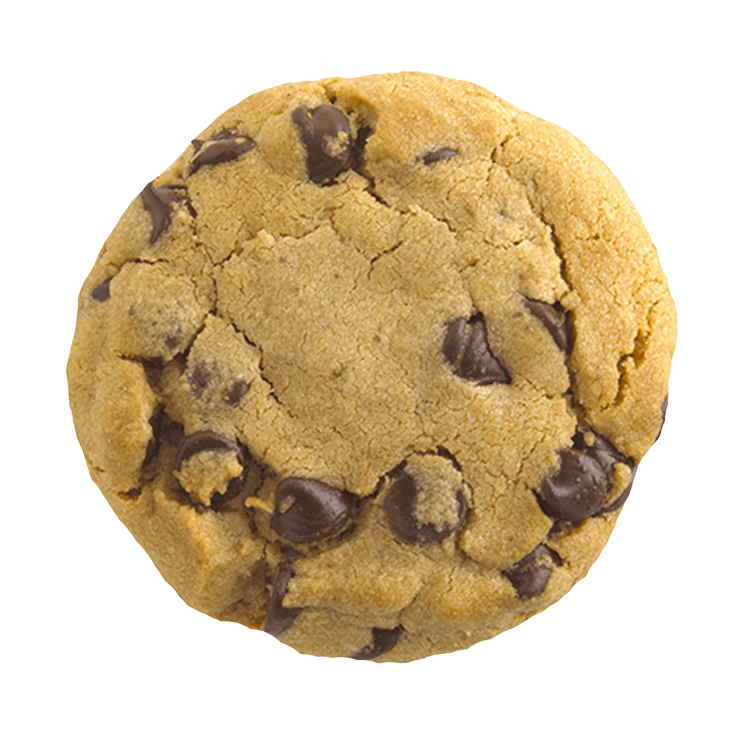 cookie Blank Meme Template