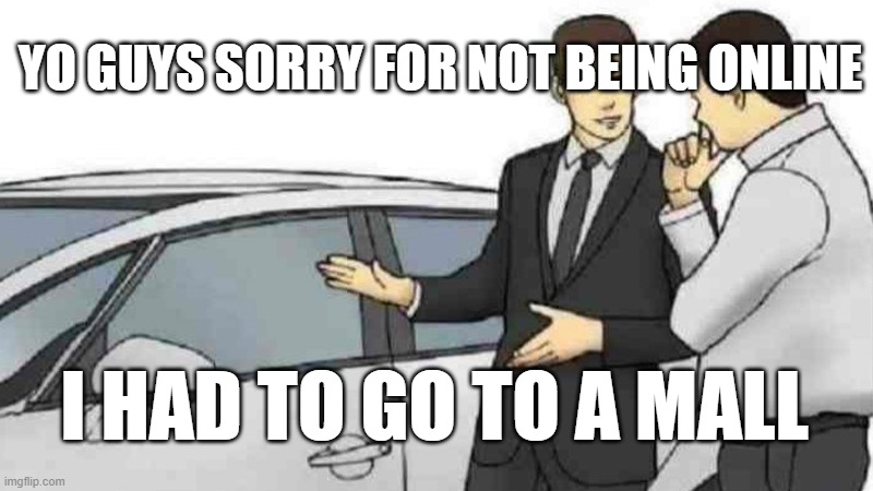 Car Salesman Slaps Roof Of Car | YO GUYS SORRY FOR NOT BEING ONLINE; I HAD TO GO TO A MALL | image tagged in memes,car salesman slaps roof of car | made w/ Imgflip meme maker