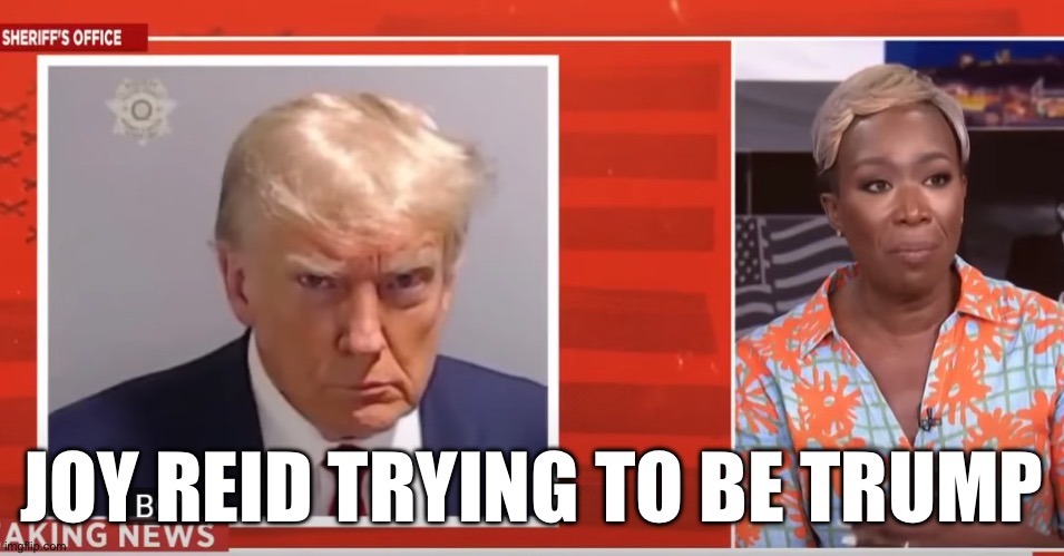 JOY REID TRYING TO BE TRUMP | image tagged in donald trump,mugshot | made w/ Imgflip meme maker
