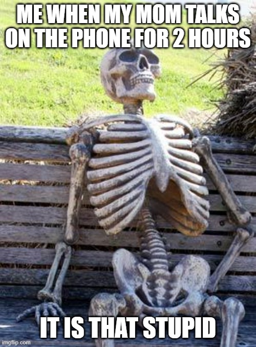 Moms on phones nowadays | ME WHEN MY MOM TALKS ON THE PHONE FOR 2 HOURS; IT IS THAT STUPID | image tagged in memes,waiting skeleton | made w/ Imgflip meme maker