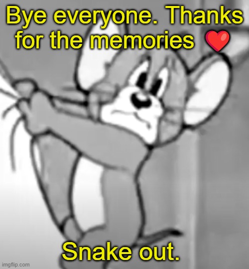 awww the skrunkly | Bye everyone. Thanks for the memories ❤️; Snake out. | image tagged in awww the skrunkly | made w/ Imgflip meme maker