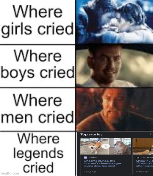 Rest in peace cheems, we will miss you | image tagged in where legends cried | made w/ Imgflip meme maker