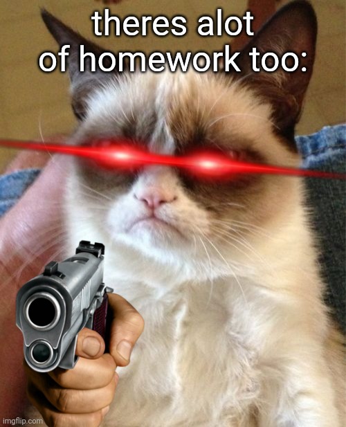 Grumpy Cat Meme | theres alot of homework too: | image tagged in memes,grumpy cat | made w/ Imgflip meme maker