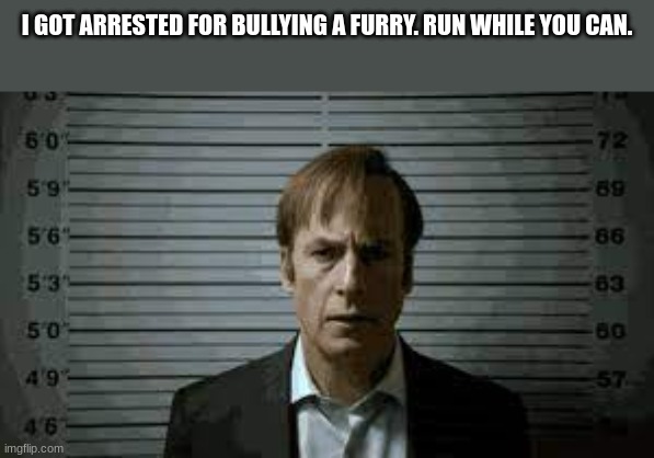 Saul bullied a furry | I GOT ARRESTED FOR BULLYING A FURRY. RUN WHILE YOU CAN. | image tagged in better call saul | made w/ Imgflip meme maker