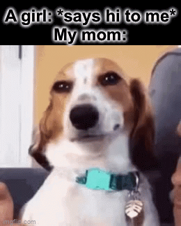 A girl said hi to me in front of my mom and now she won’t stop talking about it | A girl: *says hi to me*
My mom: | image tagged in gifs,funny,memes,women | made w/ Imgflip video-to-gif maker