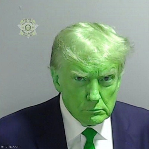 The Grinch. | image tagged in donald trump mugshot | made w/ Imgflip meme maker