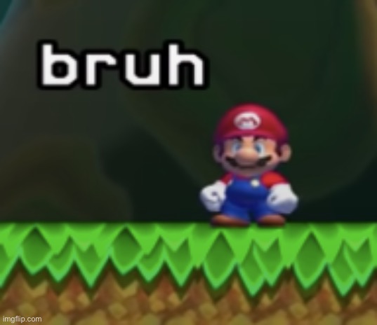 Mario Bruh | image tagged in mario bruh | made w/ Imgflip meme maker