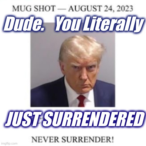 You just surrendered | Dude.   You Literally; JUST SURRENDERED | image tagged in mug shot,surrendered | made w/ Imgflip meme maker