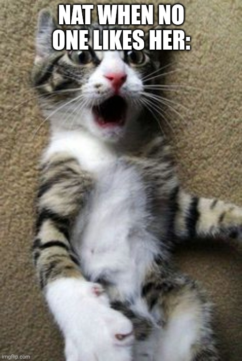 cat meme | NAT WHEN NO ONE LIKES HER: | image tagged in cat meme | made w/ Imgflip meme maker