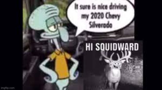 image tagged in hi squidward | made w/ Imgflip meme maker